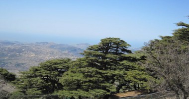 QASR MOUSSA, BEITEDDINE & CEDARS OF BAROUK